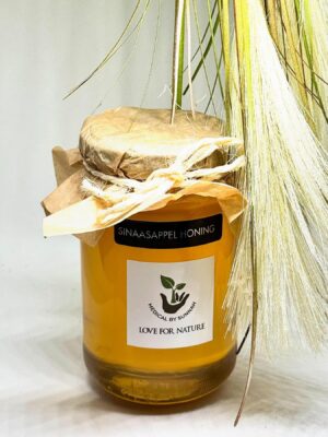 Pure Natuurlijke Sinaasappelhoning